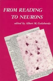 Tapa de From reading to neurons
