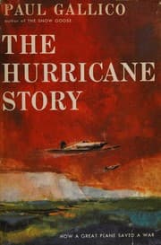 Tapa de The Hurricane story