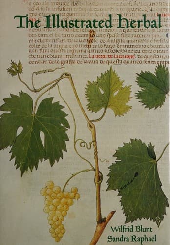 Tapa de The illustrated herbal