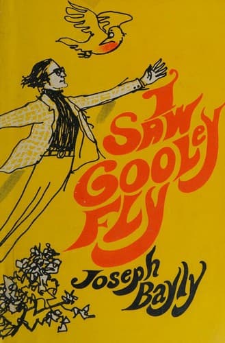 Tapa de I saw Gooley fly