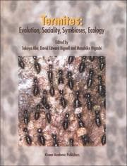 Tapa de Termites