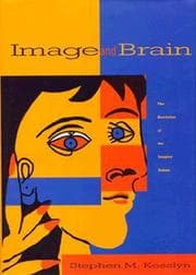 Tapa de Image and brain