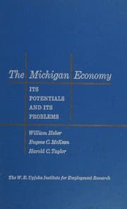 Tapa de The Michigan economy