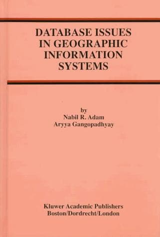 Tapa de Database issues in geographic information systems