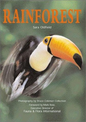 Tapa de Rainforest