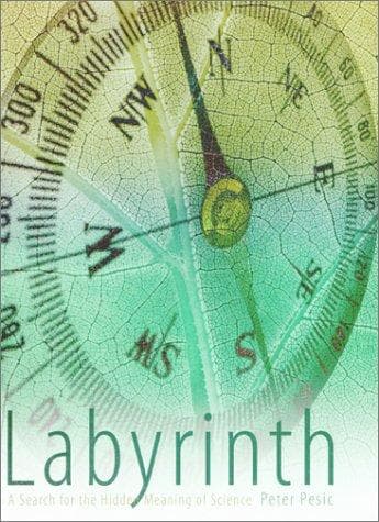 Tapa de Labyrinth