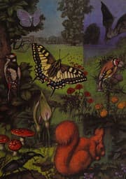 Tapa de The Shell Nature Book