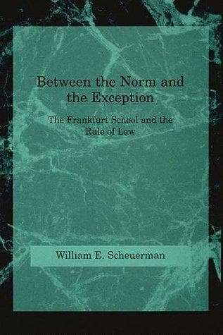 Tapa de Between the norm and the exception