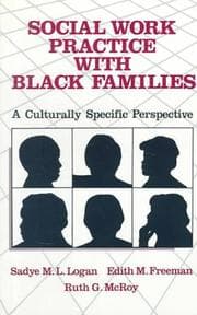 Tapa de Social work practice with Black families