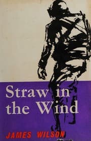 Tapa de Straw in the wind