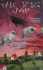 Tapa de [(The Big Nap)] [By (author) Ayelet Waldman] published on (July, 2002)