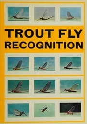 Tapa de Trout Fly Recognition