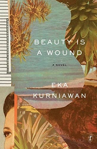 Tapa de Beauty Is a Wound