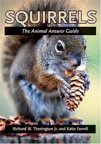 Tapa de Squirrels