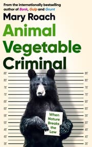 Tapa de Animal Vegetable Criminal
