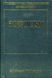 Tapa de Skepticism (International Research Library of Philosophy, Vol 5)