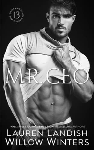Tapa de Mr. CEO