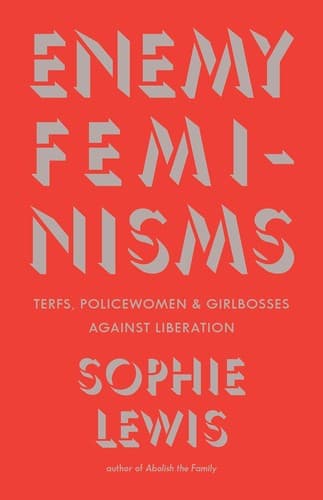 Tapa de Enemy Feminisms
