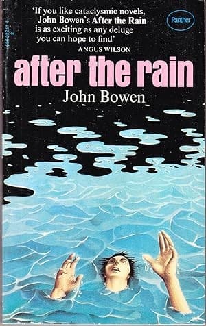 Tapa de After the Rain