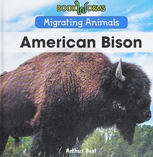 Tapa de American Bison