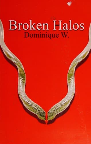 Tapa de Broken Halos