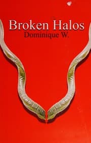 Tapa de Broken Halos