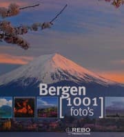 Tapa de Bergen