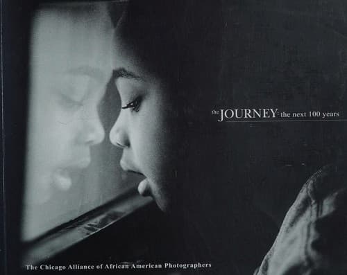 Tapa de The journey