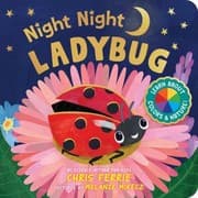 Tapa de Night Night Ladybug