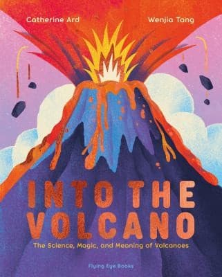Tapa de Into the Volcano