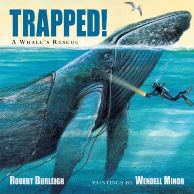 Tapa de Trapped!