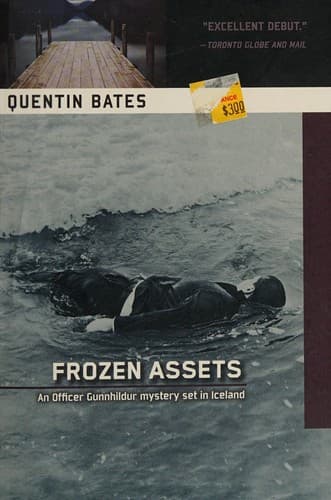 Tapa de Frozen assets