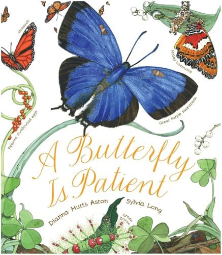Tapa de A butterfly is patient