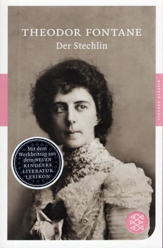 Tapa de Der Stechlin