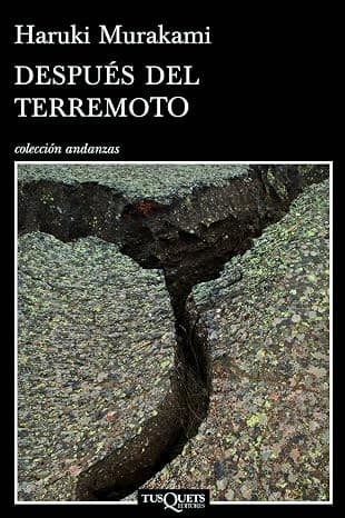 Tapa de Después del Terremoto