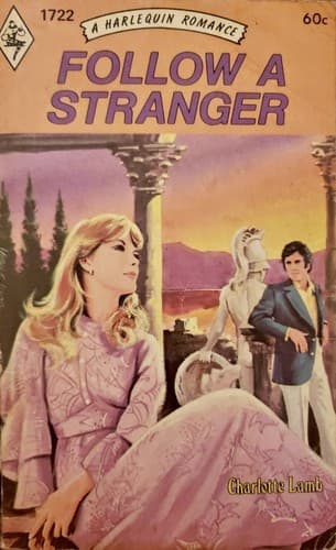 Tapa de Follow a Stranger