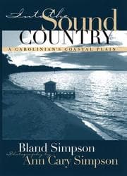 Tapa de Into the sound country