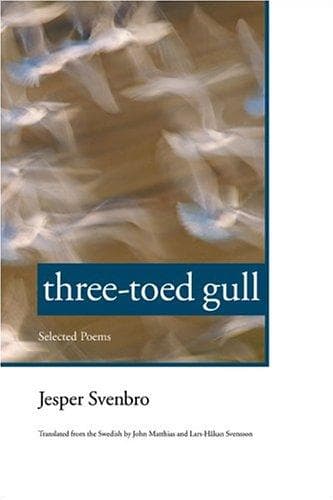 Tapa de Three-Toed Gull
