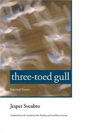 Tapa de Three-Toed Gull