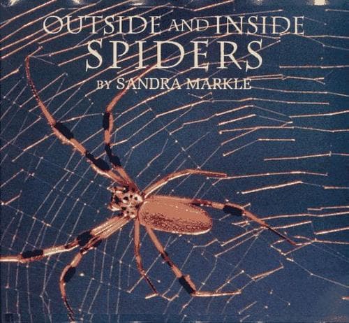 Tapa de Outside and inside spiders