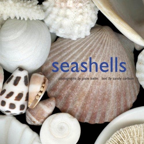 Tapa de Seashells