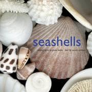Tapa de Seashells
