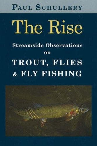 Tapa de The Rise