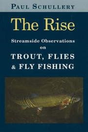 Tapa de The Rise