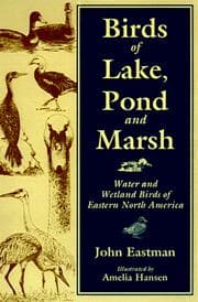 Tapa de Birds of lake, pond, and marsh