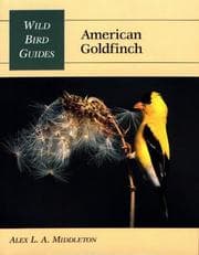 Tapa de American goldfinch