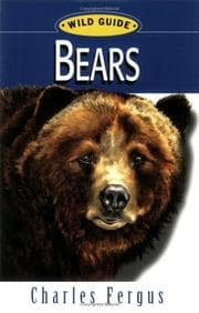 Tapa de Bears