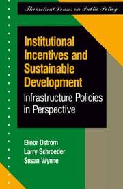 Tapa de Institutional incentives and sustainable development