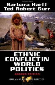Tapa de Ethnic conflict in world politics