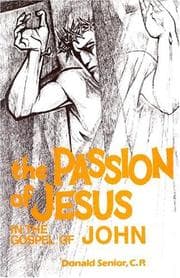 Tapa de The passion of Jesus in the Gospel of John